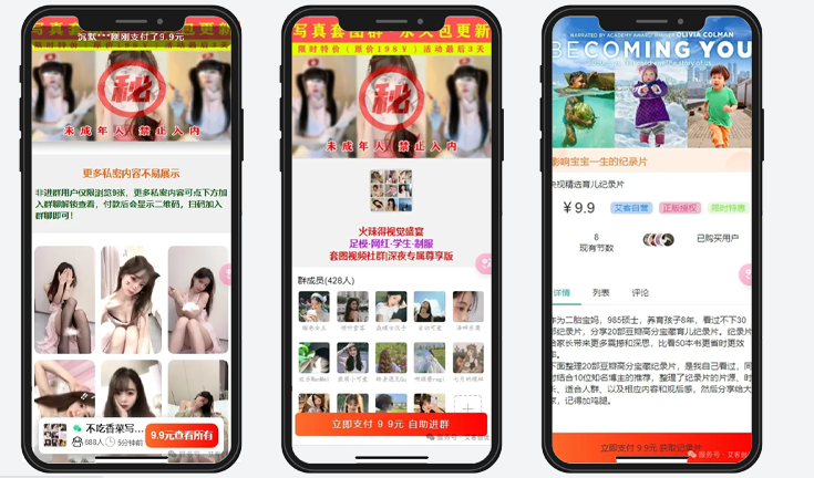 懒猫付费进群系统V4前端模板展示